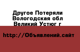 Другое Потеряли. Вологодская обл.,Великий Устюг г.